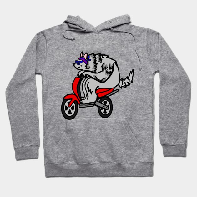 Cool Scooter wolf Hoodie by imphavok